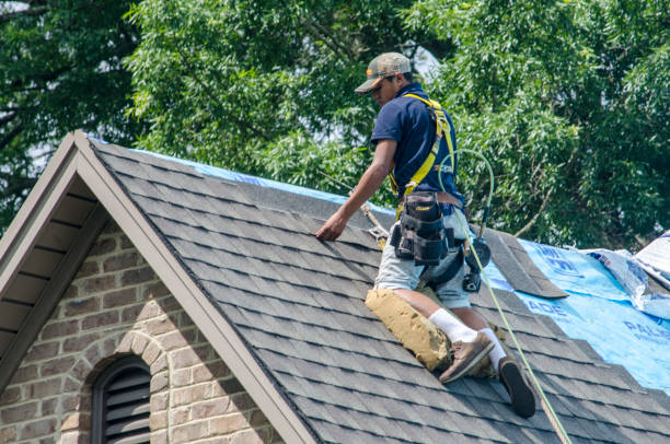 Quick and Trustworthy Emergency Roof Repair Services in Lake City, AR
